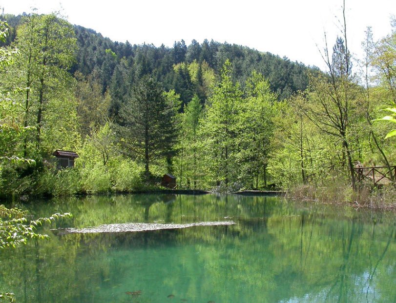 Giardino Botanico di Valbonella, Italy
